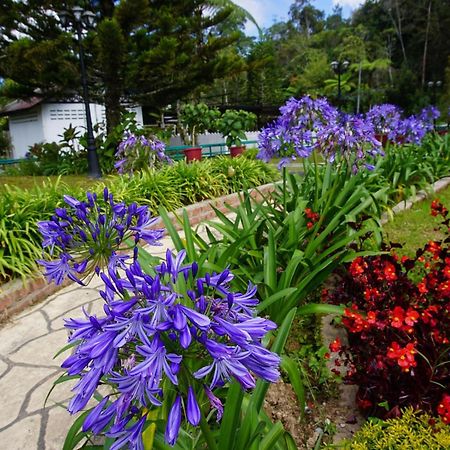 Spot On 89751 Bed Station Guest House Tanah Rata Exterior foto